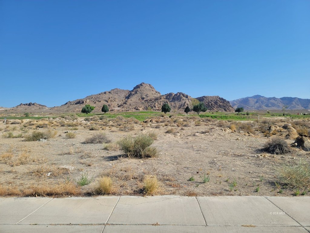 Picture 14
