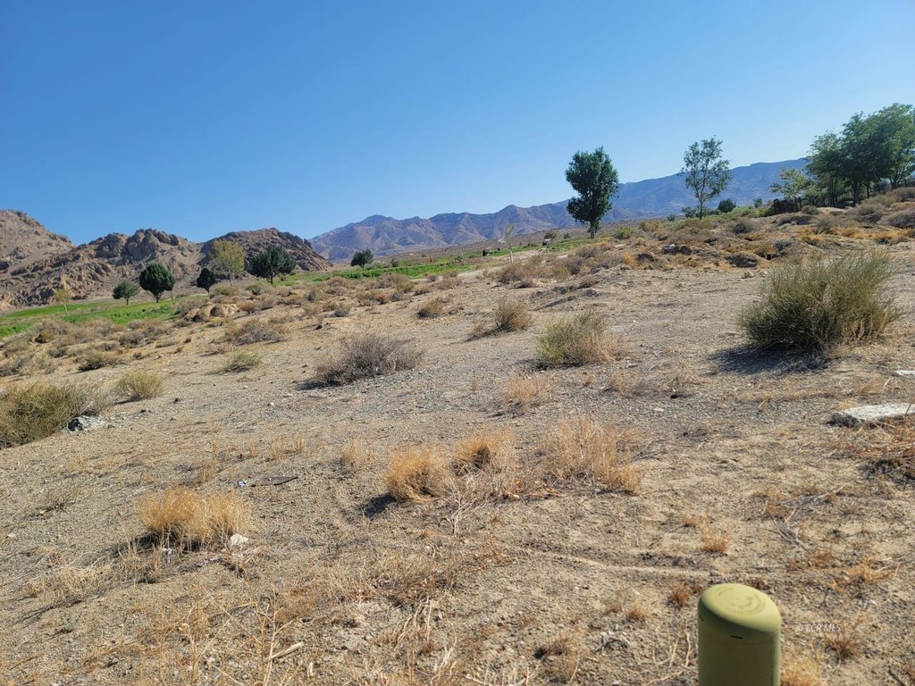 Picture 11