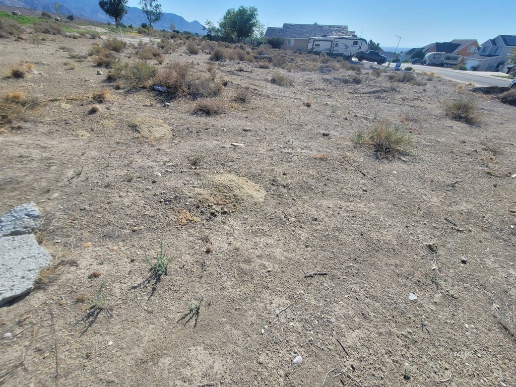 Picture 10