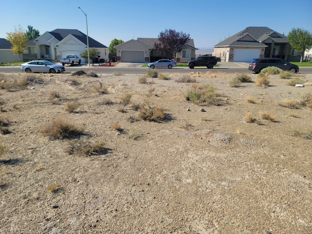 Picture 9
