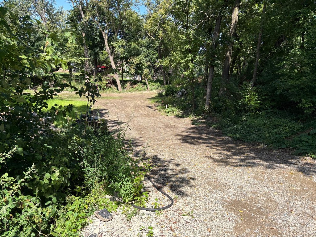 Picture 4