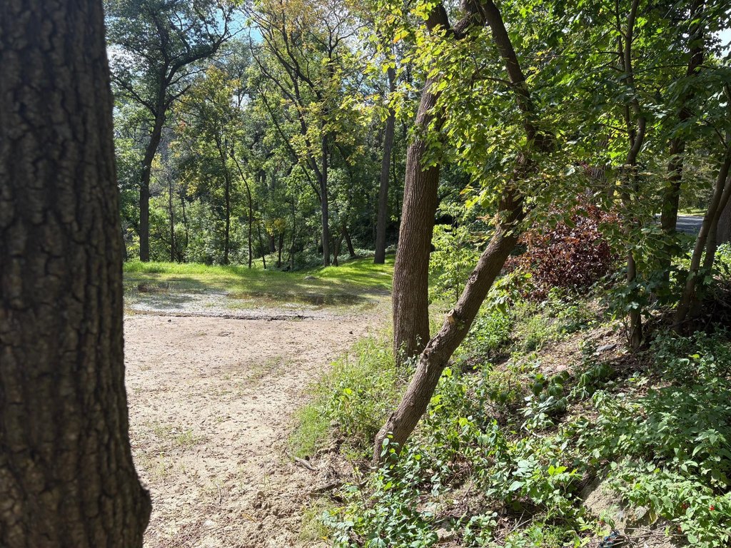 Picture 19