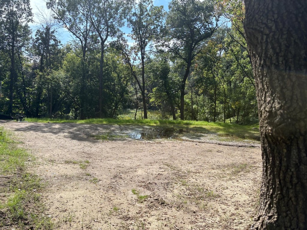 Picture 18