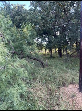 Lake Brownwood RV Lot