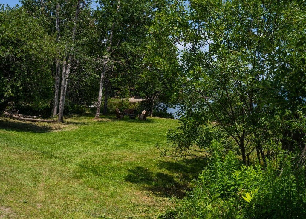 Picture 8