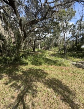 Land, Old Town, FL
