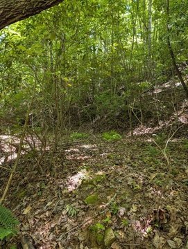 Residential Lot in Tarheel Subdivision