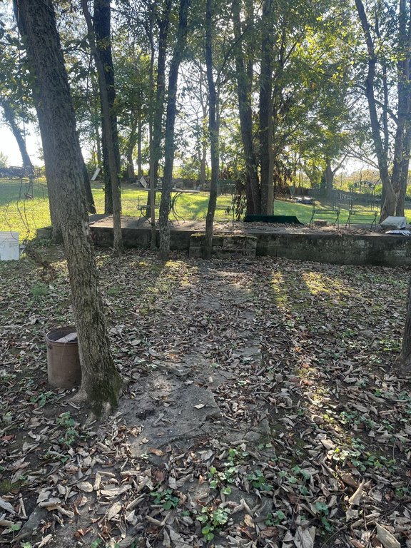Picture 19