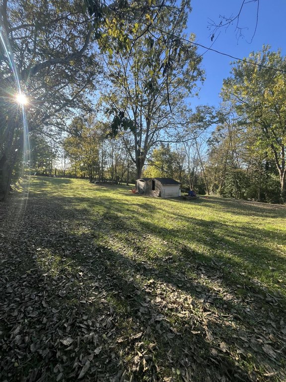 Picture 17