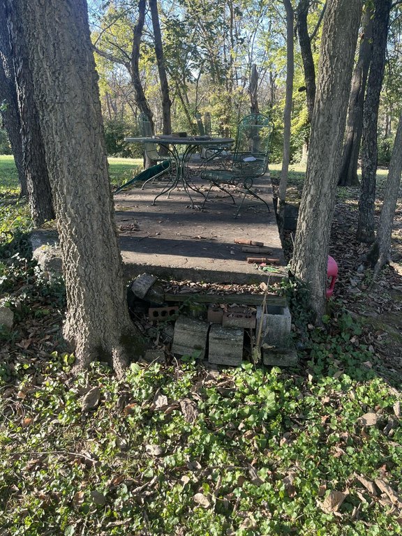 Picture 20