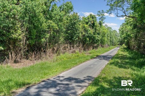 Wooded Land Tract