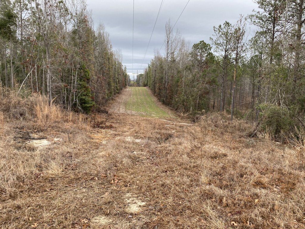 Picture 11