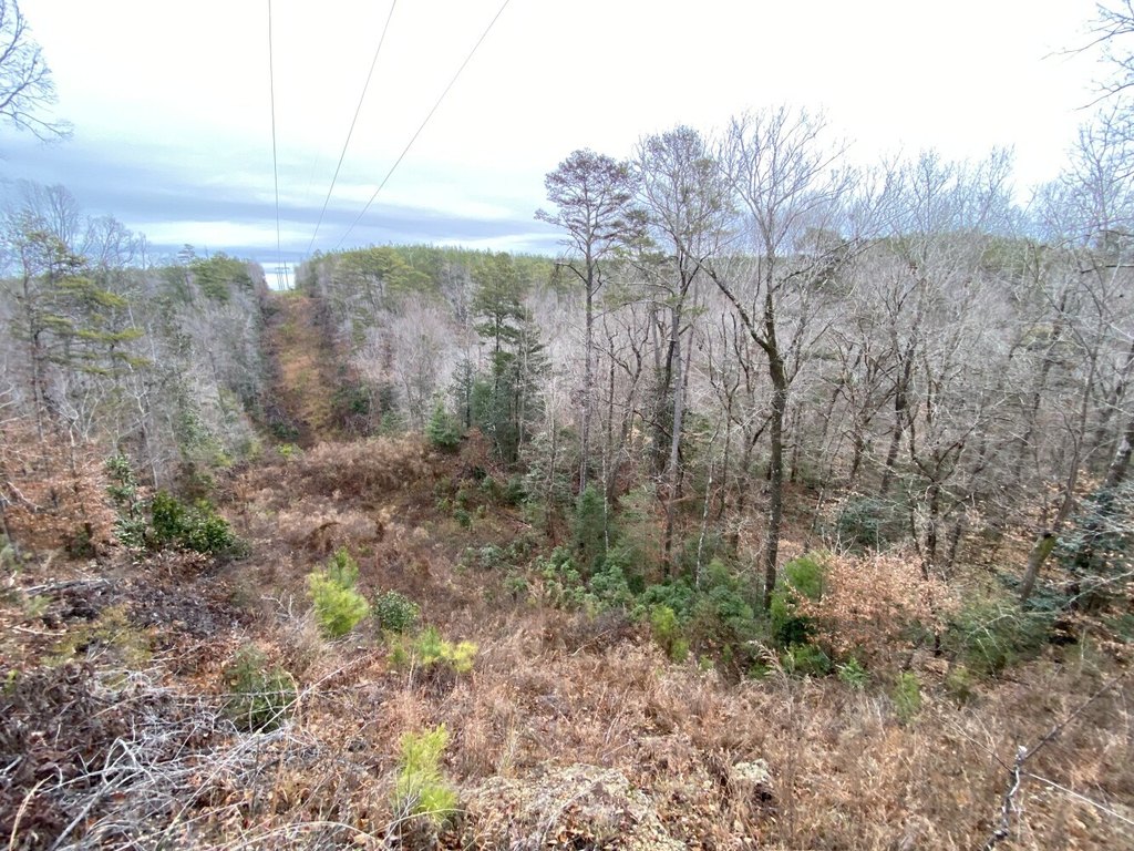 Picture 14