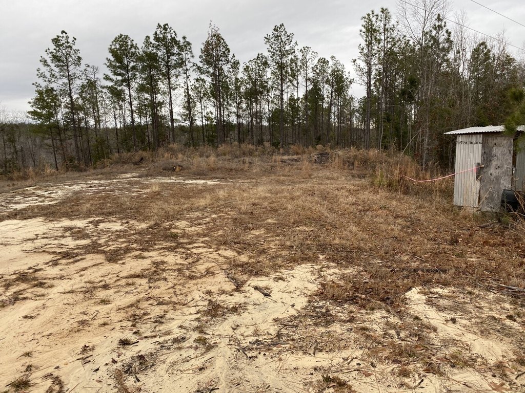 Picture 17