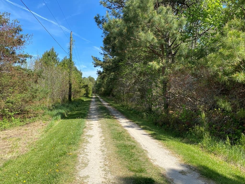 Picture 17