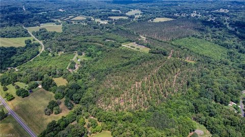 43 Acres in Eden, NC