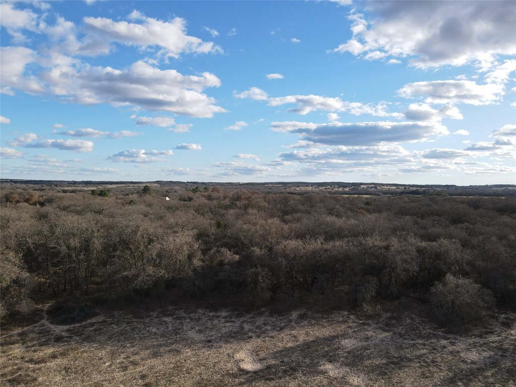 Picture 32