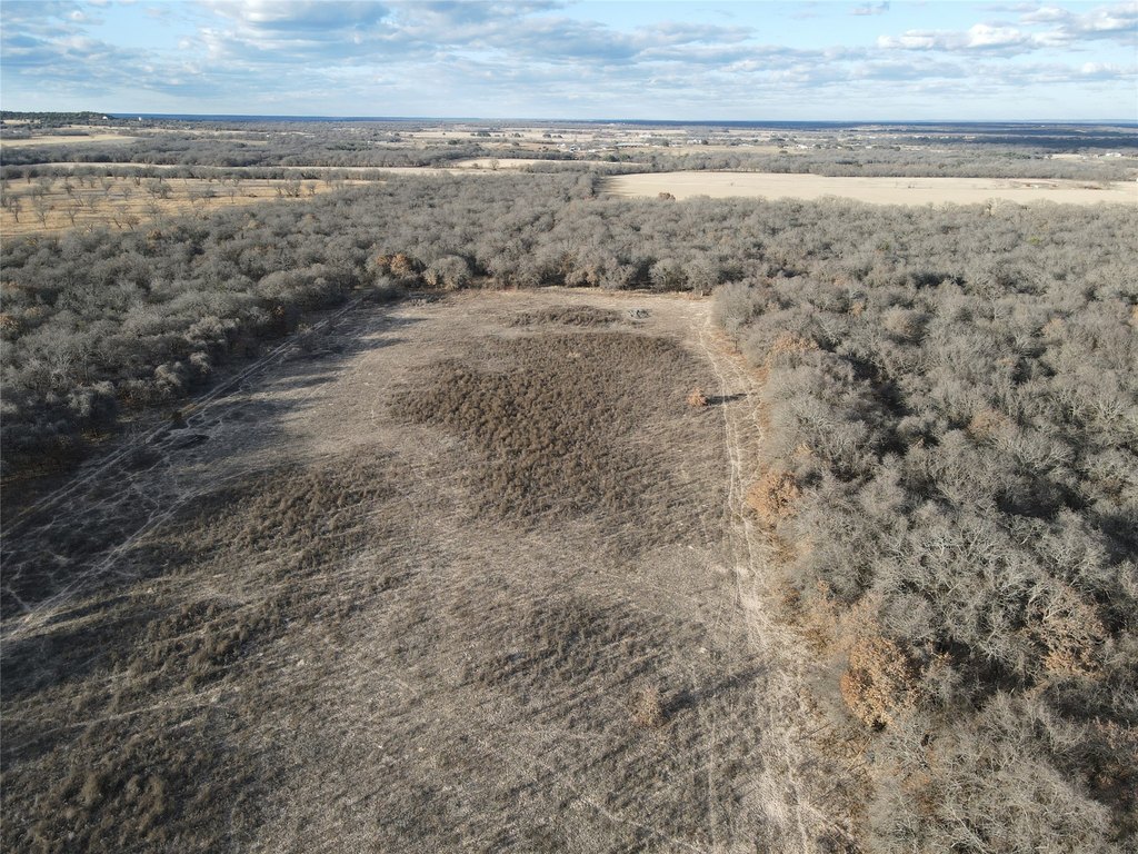 Picture 33