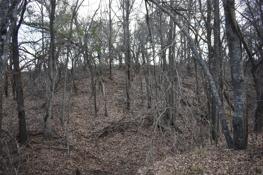 Picture 13