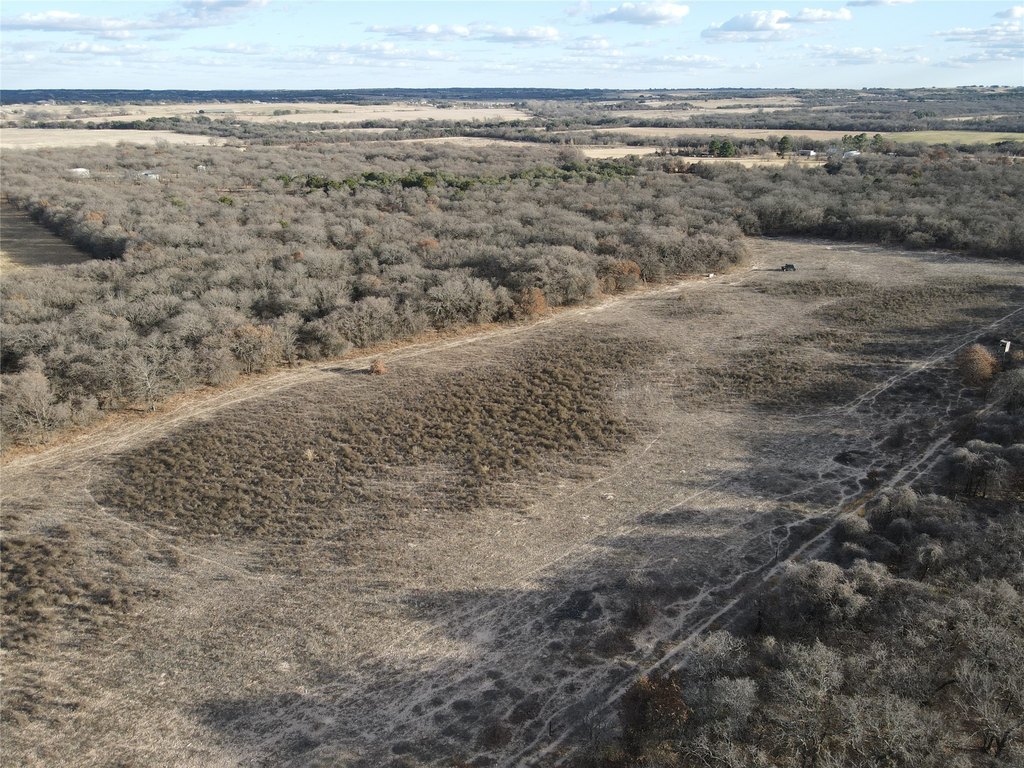 Picture 37