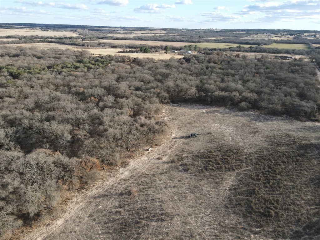 Picture 36