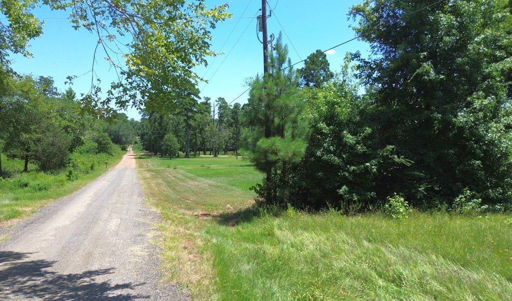 Picture 5