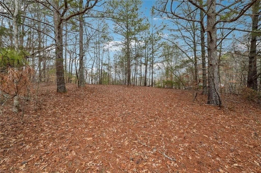 Picture 22