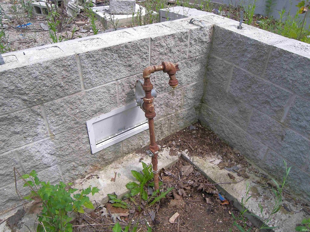 Picture 6
