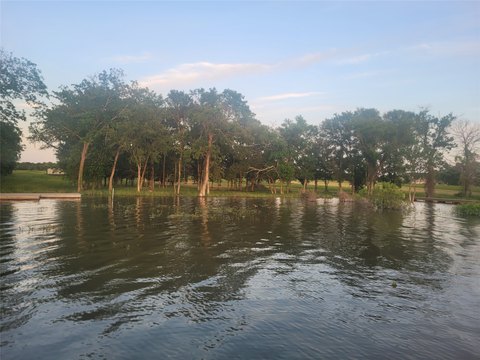 Waterfront Treed Land Lot