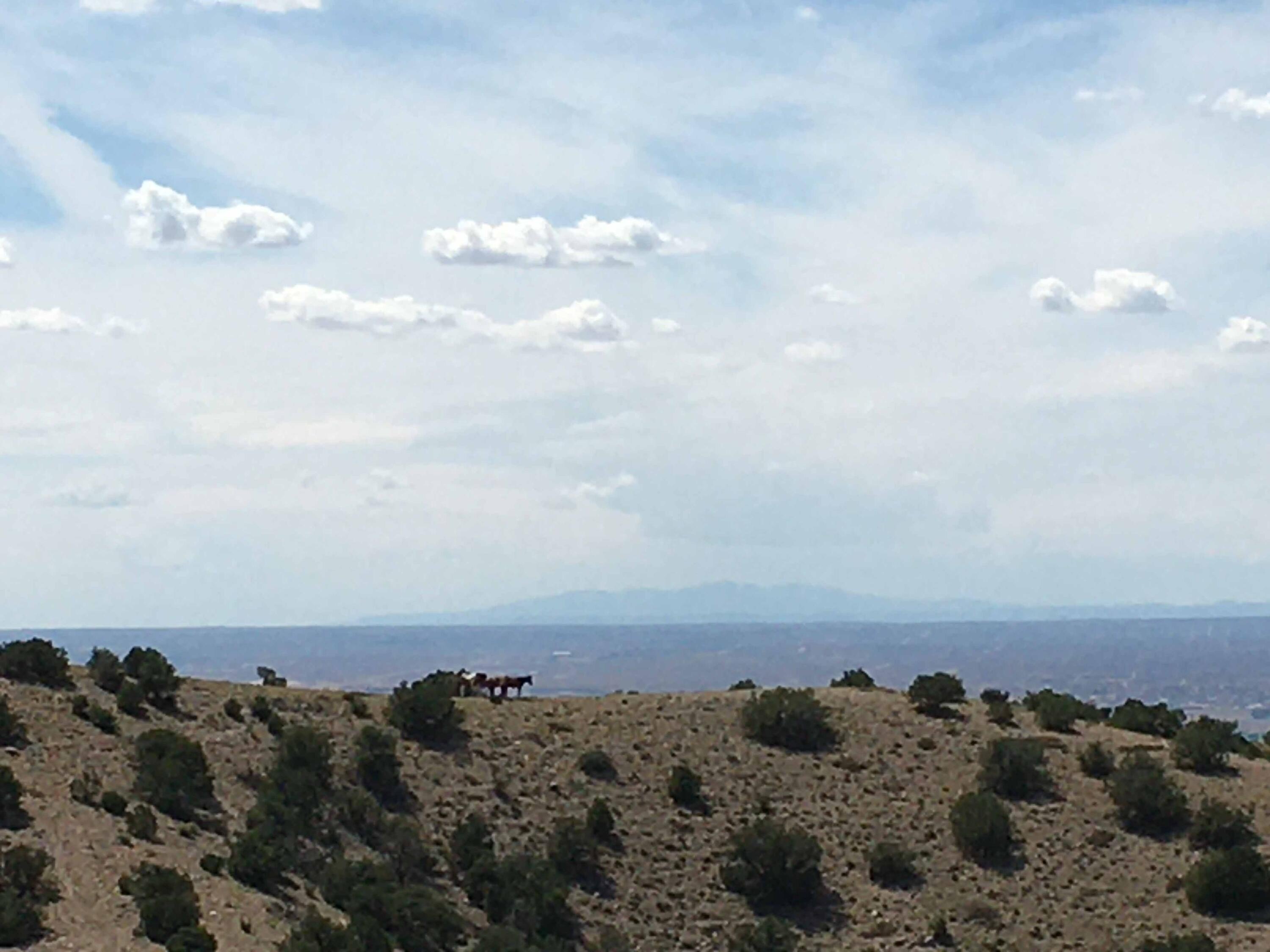 Placitas Land with Mountain Views