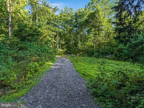 2.5-Acre Wooded Lot