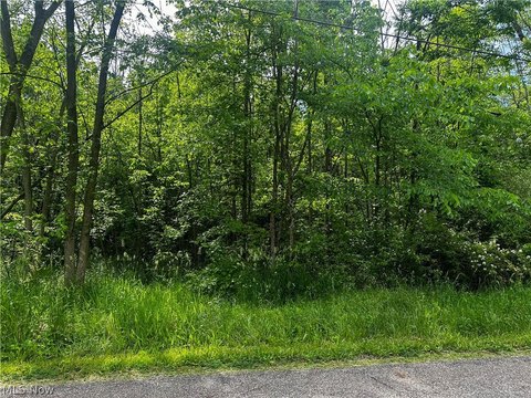 Wooded Acreage in Bazetta Township