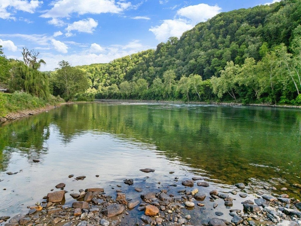 Picture 17