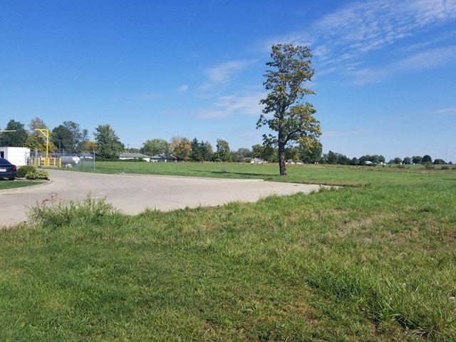 Picture 5