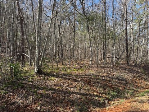 Mountain Homesite in Cross Creek