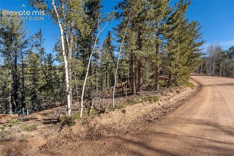 Wooded Mountain Home Lot