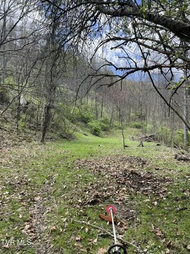 Residential Land in Clintwood, VA