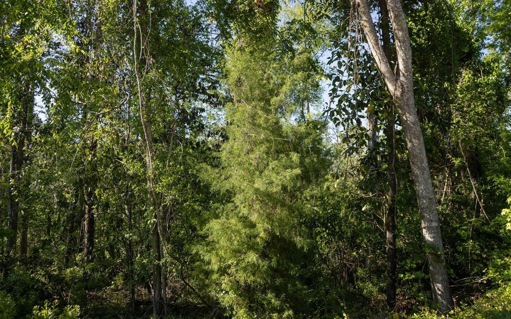 Picture 4