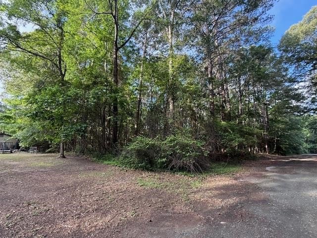 Hemphill, TX Land for Sale