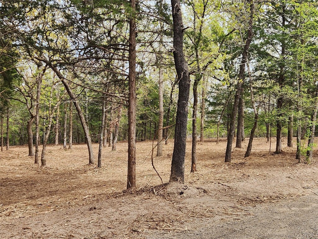 Picture 16