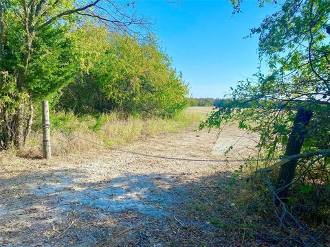 Land, Wolfe City, TX