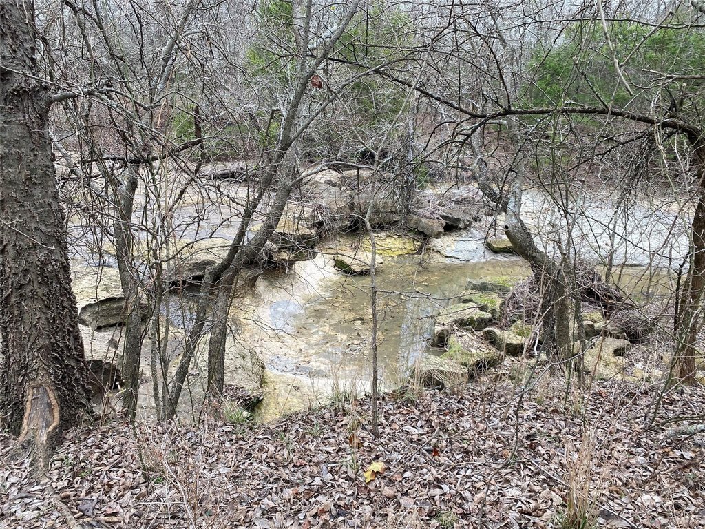 Picture 19