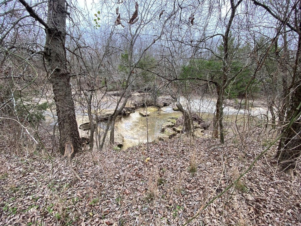 Picture 17