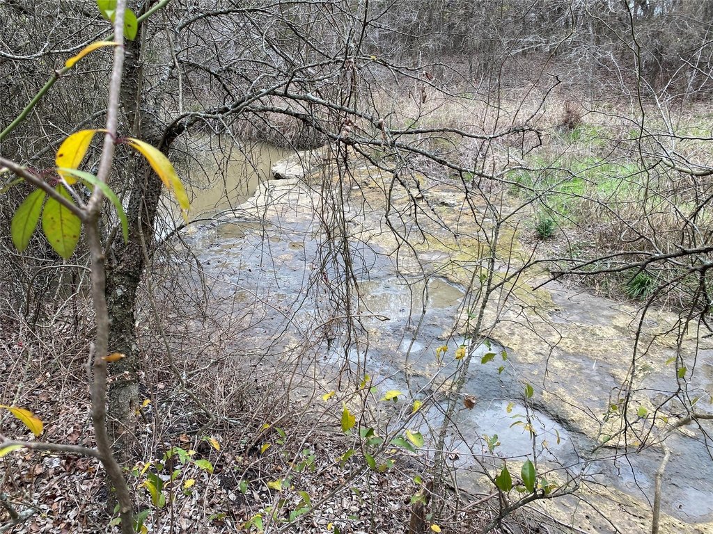 Picture 16