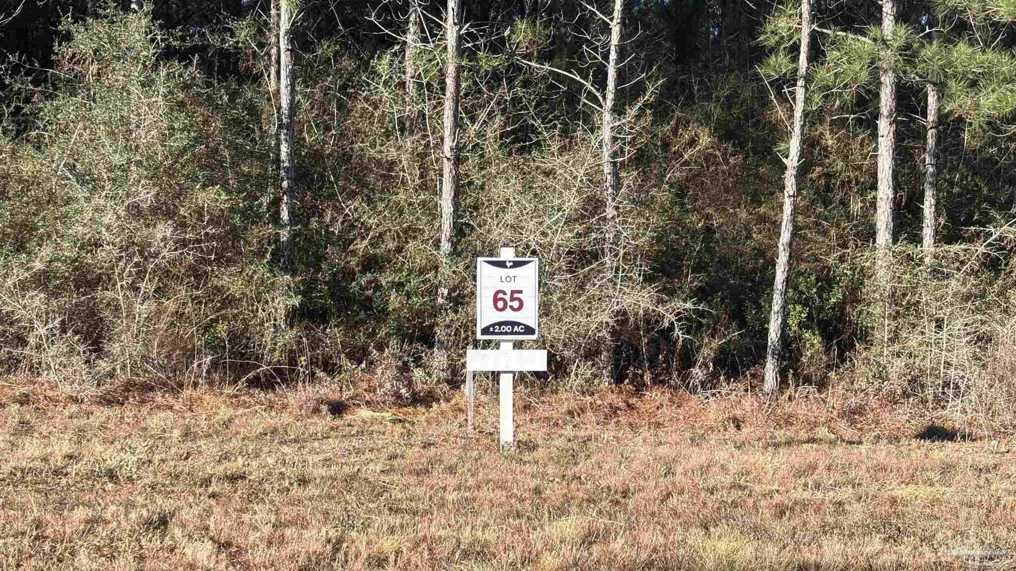 Allentown Land Parcel For Sale