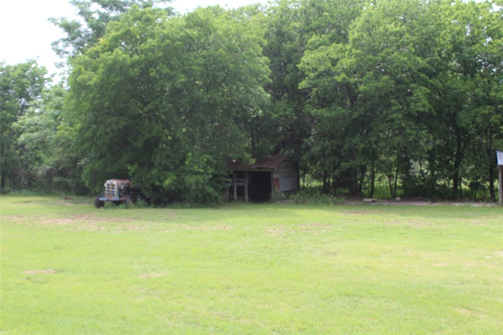 Picture 21