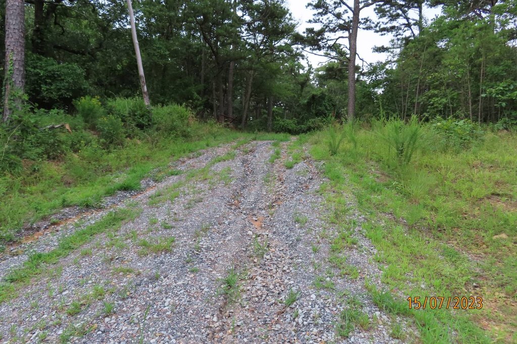 Picture 15