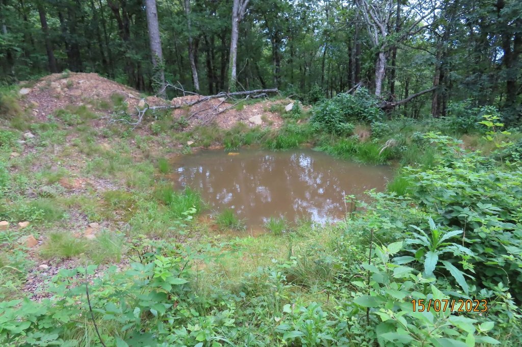 Picture 10