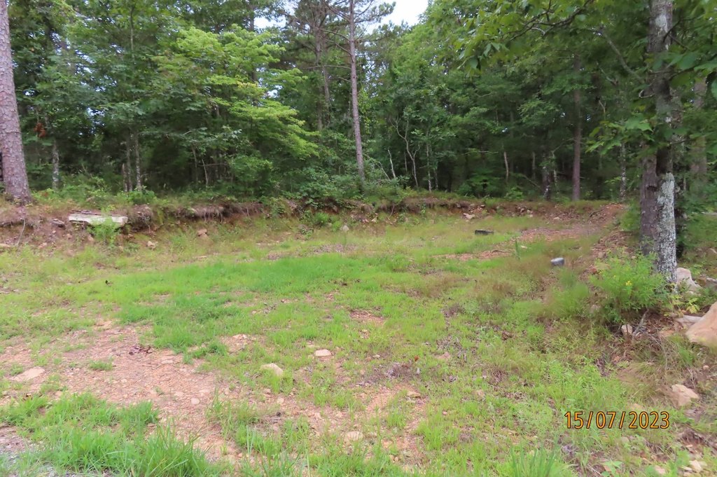 Picture 14