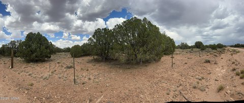 LAND - Snowflake, AZ